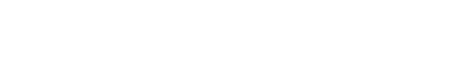 Tribeca Web Studio